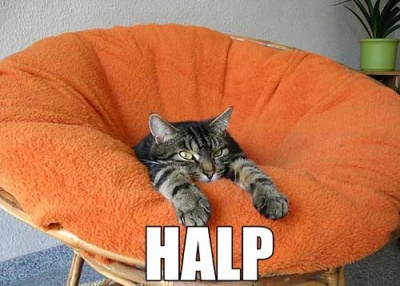 Image:Halp.jpg